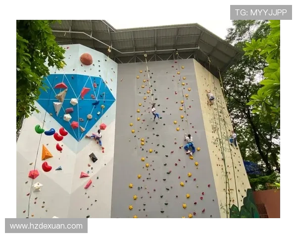 广州攀岩队中路突破的成就与挑战分析